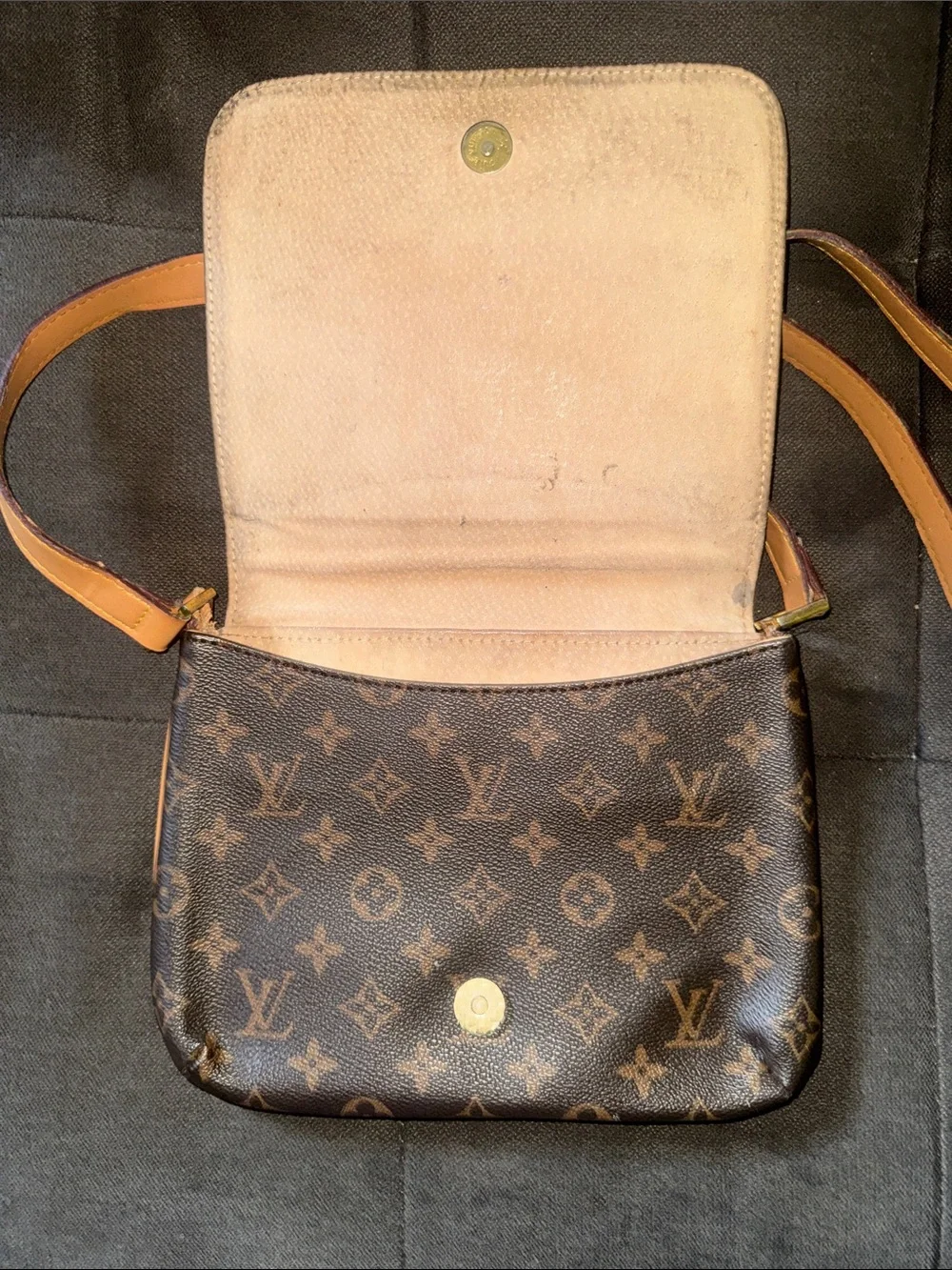 Louis Vuitton authentic louis